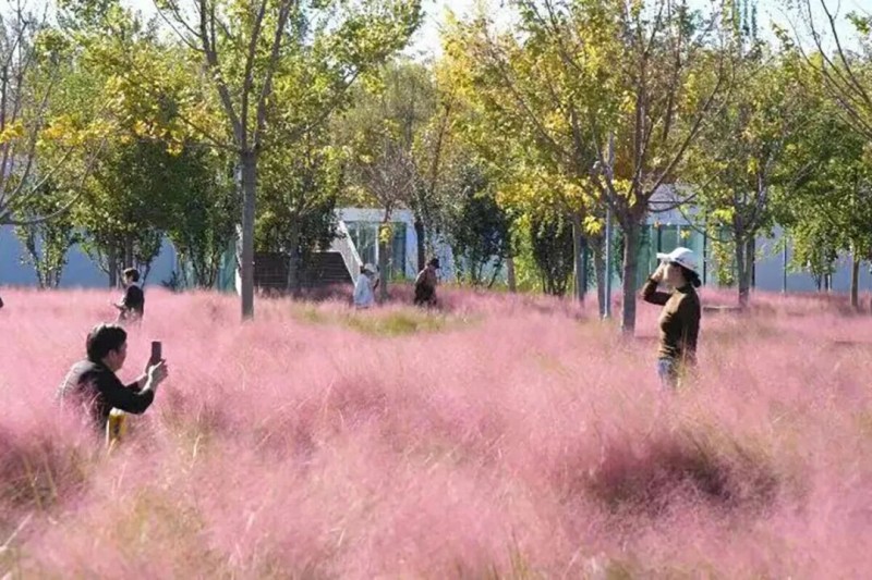 温榆河1.jpg 温榆河1.jpg