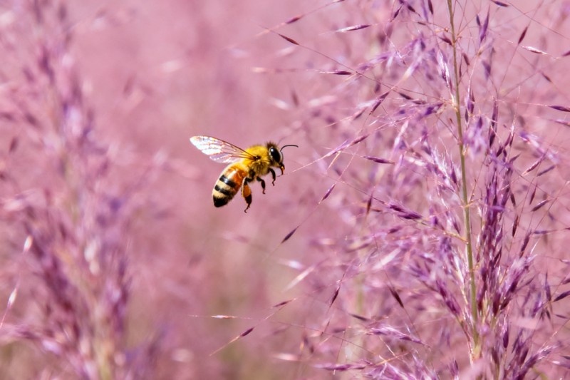 东郊湿地2.jpg 东郊湿地2.jpg
