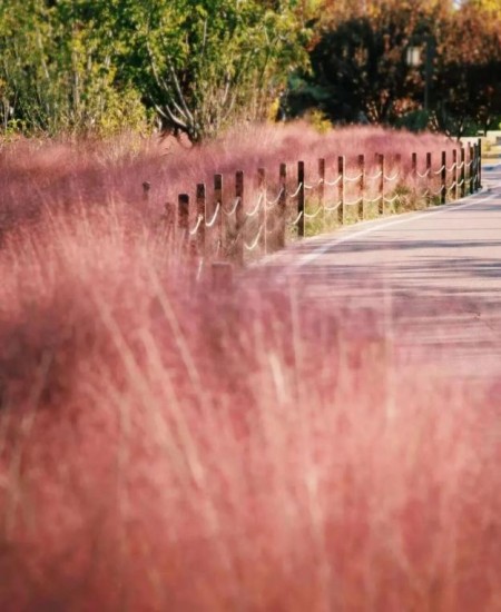 官庄1.jpg 官庄1.jpg