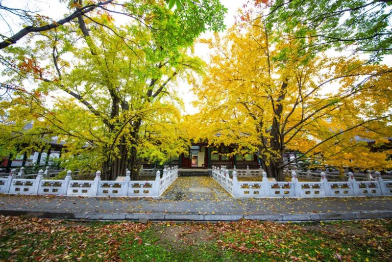 图片10-紫竹院公园.png 图片10-紫竹院公园.png