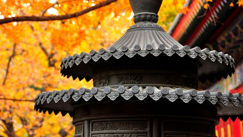 香山公园800 VCG.jpg