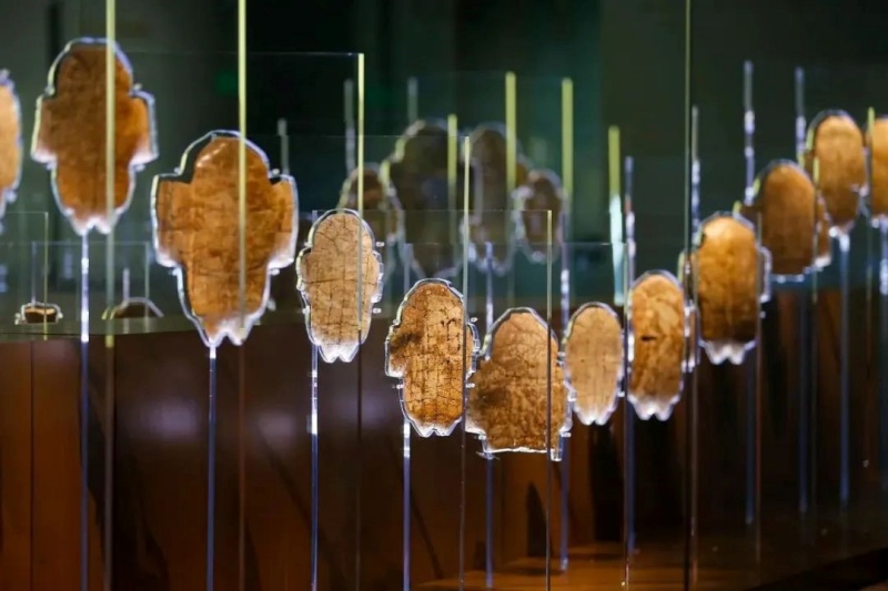 正文1.jpg 正文1.jpg