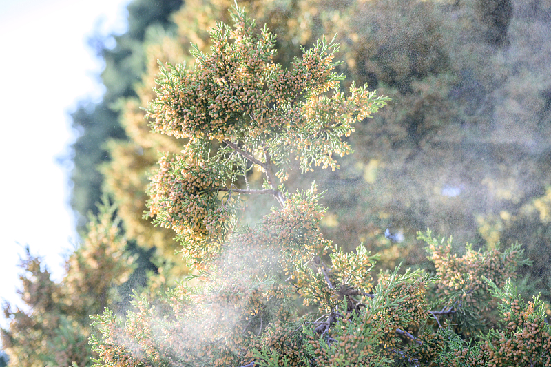 内容页 来源：VCG.jpg