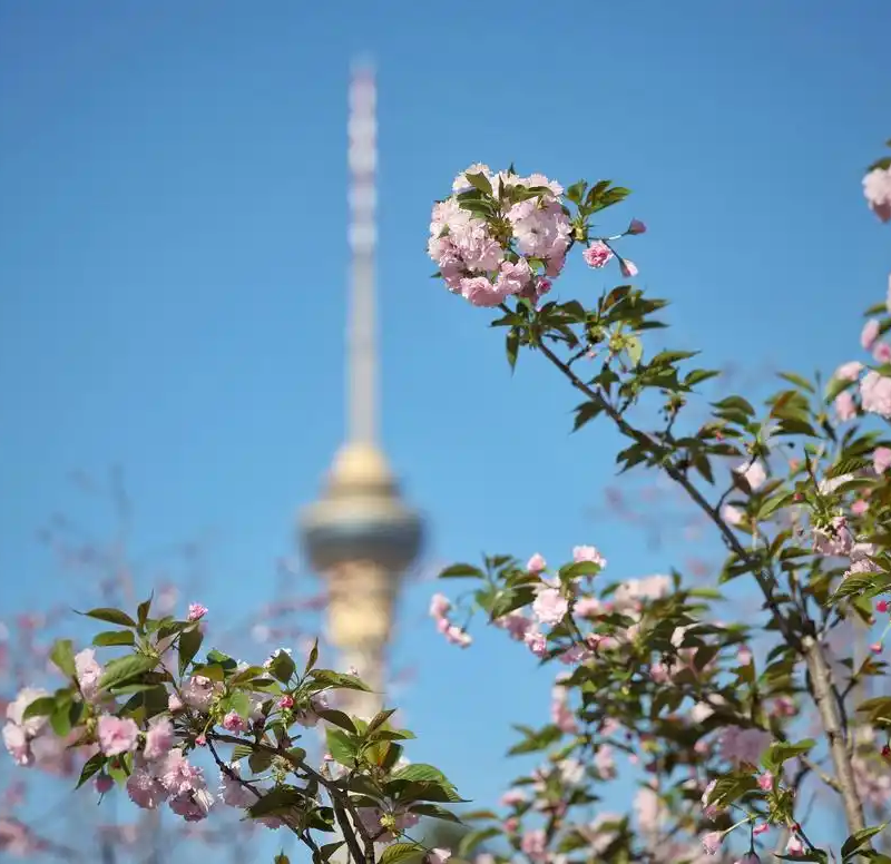 图片1 新京报.png